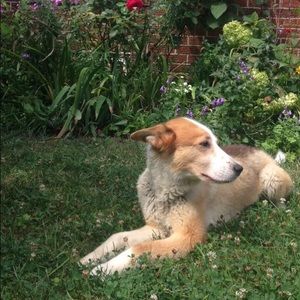 Meet your Posher, Ela